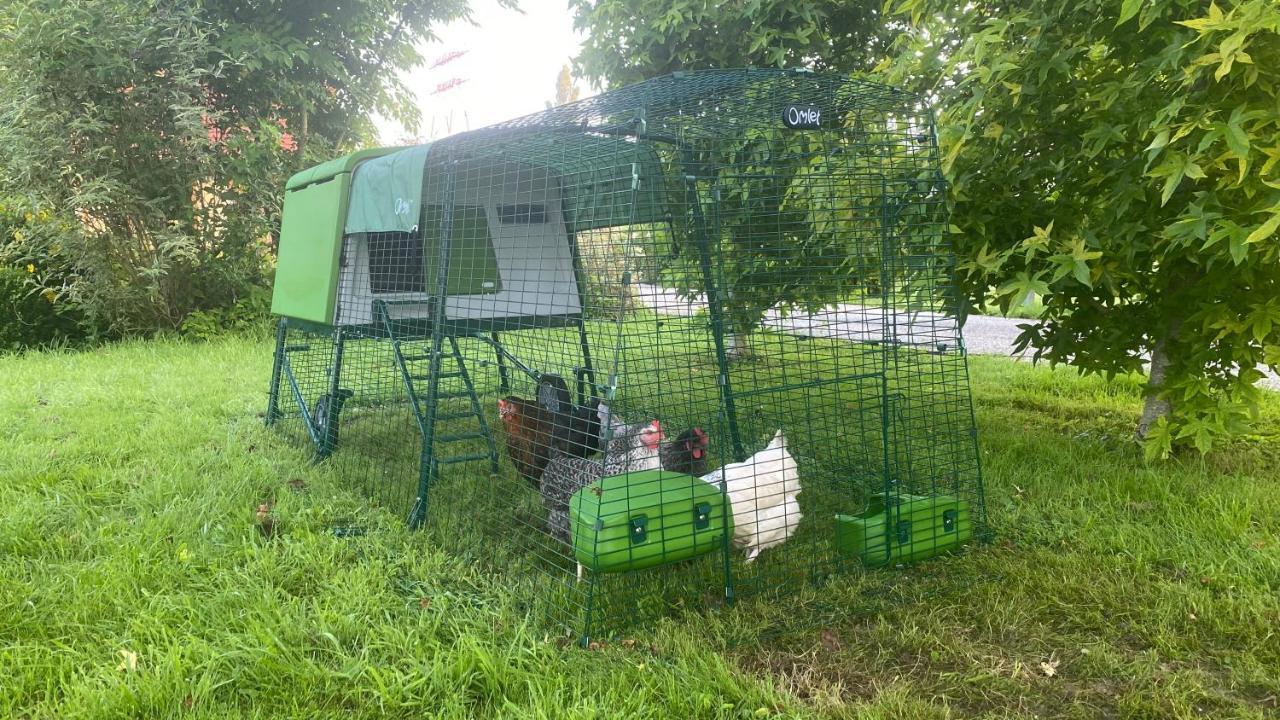 Les Mouettes - La Paix Du Bord De Seine Villa Berville-sur-Seine Exteriör bild